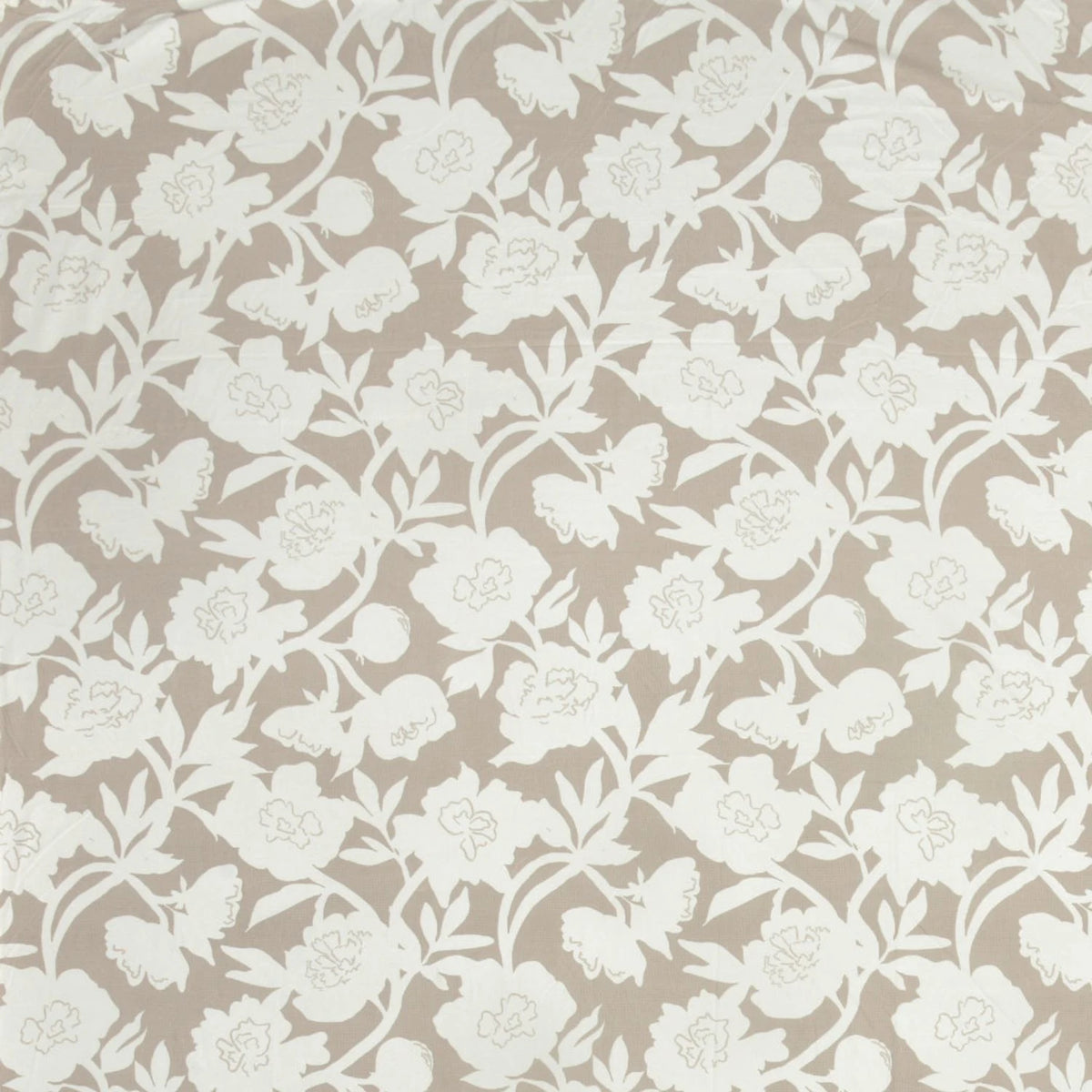 Dream Weaverz Home Polycotton King Fitted (Elastic) 260 TC Floral 1 Bedsheet (Beige-White)