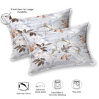 Dream Weaverz Cotton Super King Flat 220 TC Abstract 1 Bedsheet with 2 Pillow Covers (Light Grey)