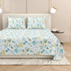 Dream Weaverz Home Cotton Super King Flat 220 TC Abstract 1 Bedsheet with 2 Pillow Covers (Multicolor)
