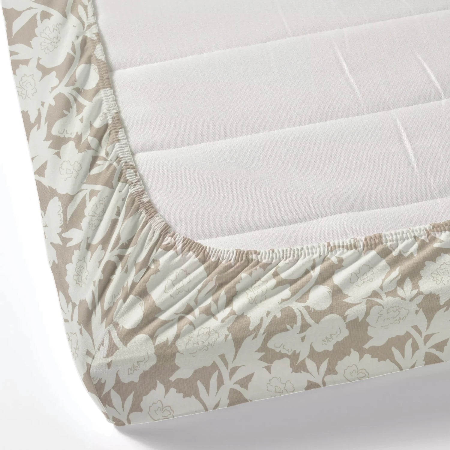 Dream Weaverz Polycotton King Fitted (Elastic) 260 TC Floral 1 Bedsheet (Beige-White)