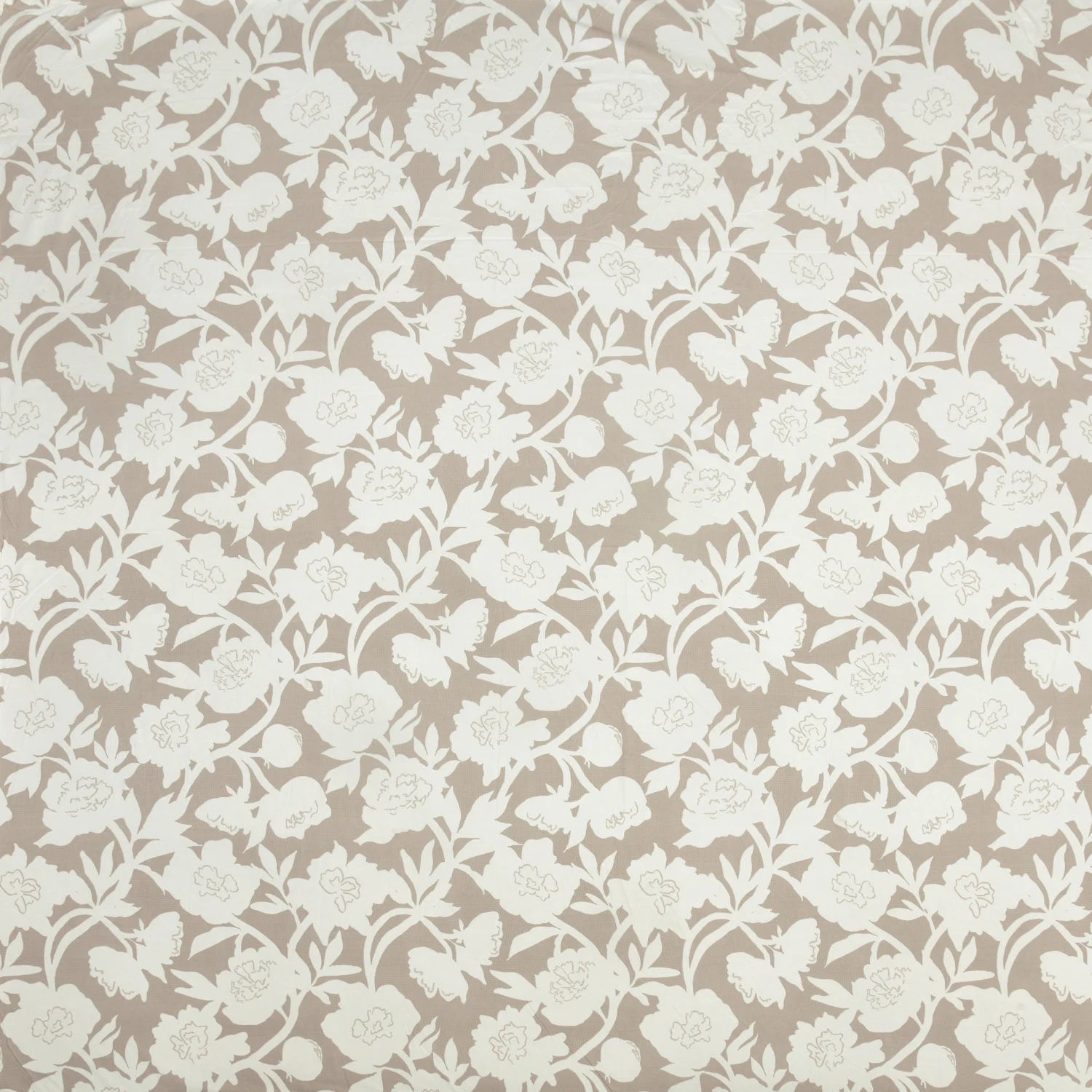 Dream Weaverz Polycotton King Fitted (Elastic) 260 TC Floral 1 Bedsheet (Beige-White)